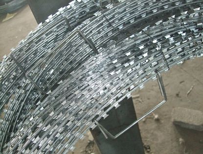 Concertina Razor Wire