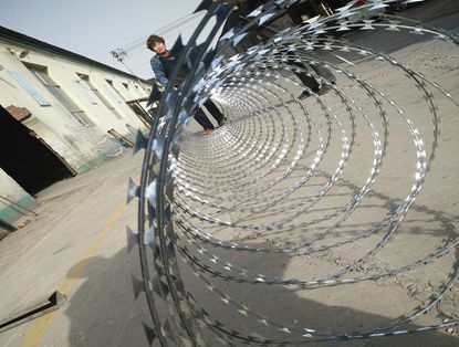 Concertina Razor Wire